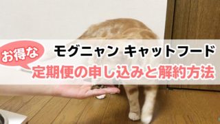 【モグニャンキャットフード】お得な定期便の申込と解約方法を解説(画像付きだから簡単!)