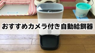 【2019年最新版】カメラ付き自動給餌器おすすめ5選|スマホから遠隔操作で猫の無事を確認!
