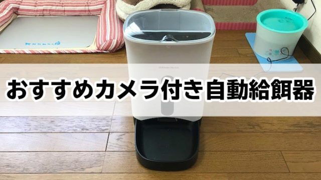 【2019年最新版】カメラ付き自動給餌器おすすめ5選|スマホから遠隔操作で猫の無事を確認!