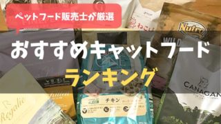 「ペットフード販売士が厳選」キャットフードおすすめランキング