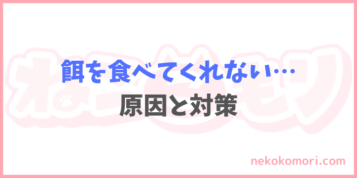 子猫が餌を食べない時の原因と対策5選