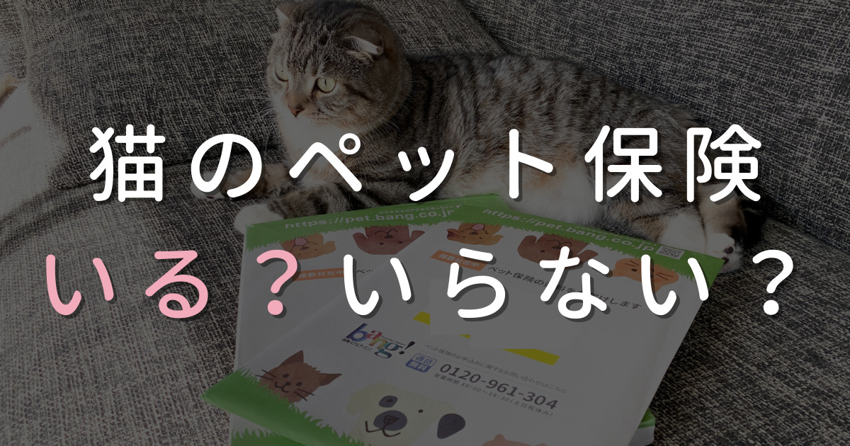 損する 猫はペット保険に入るべき いらない 後悔の口コミや最悪な口コミ体験談から学ぶ ねここもり