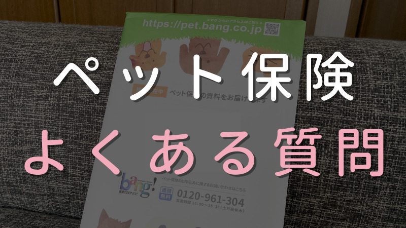 猫のペット保険のよくある質問